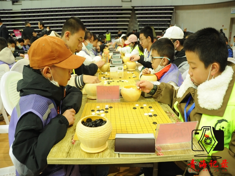 2023青海省青少年围棋定段、升段赛(下半年)赛举行